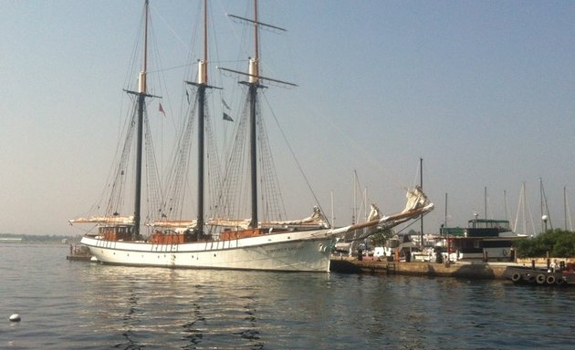 Photo of Tall Ship Trees