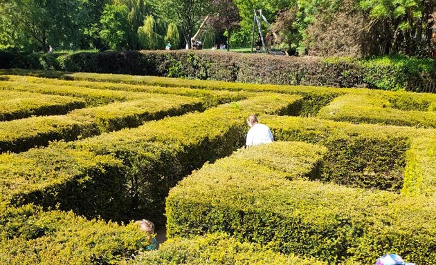 Photo of Millennium Maze