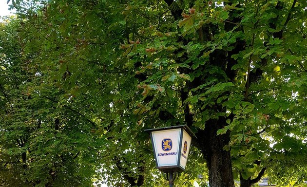 Foto von Gasthaus zum Maibaum