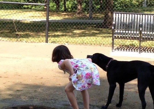 Photo of River Park Dog Friendly Area