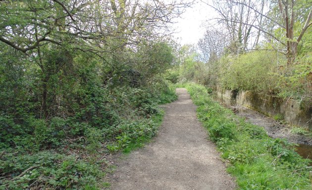 Photo of Raeburn Open Space