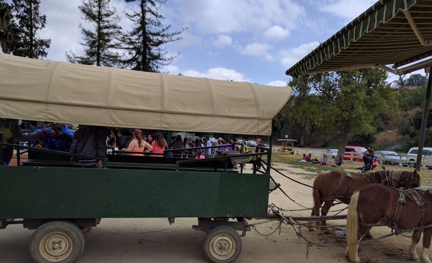 Photo of Griffith Park Pony Rides & Petting Zoo