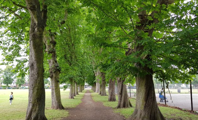 Photo of Alexandra Park