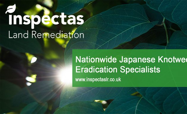 Photo of Inspectas Land Remediation LTD - Japanese Knotweed Specialists