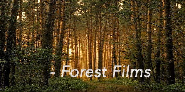 Photo of Forest Films