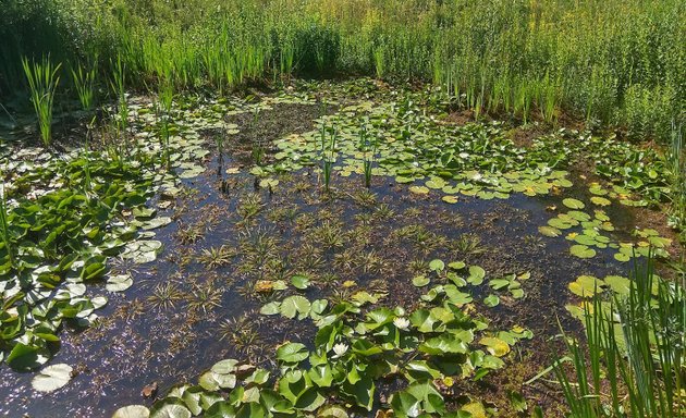 Photo of Hawthorns Urban Wildlife Centre