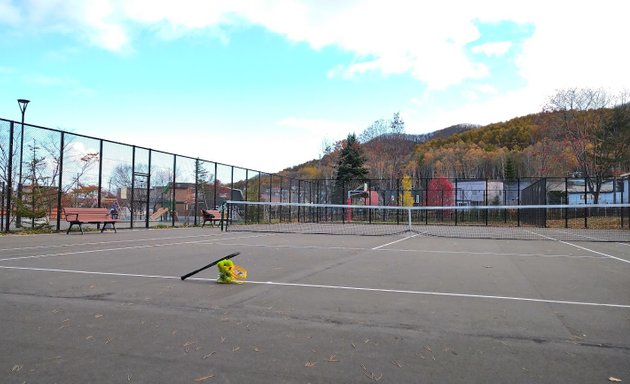 写真 金山公園テニスコート