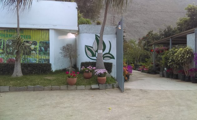 Foto de Vivero Agrocentro