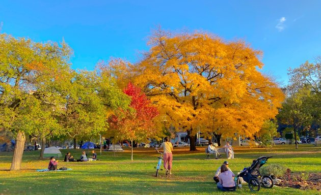 Photo of Trinity Bellwoods Park