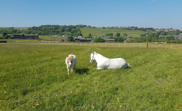 Photo of Chevin Fencing