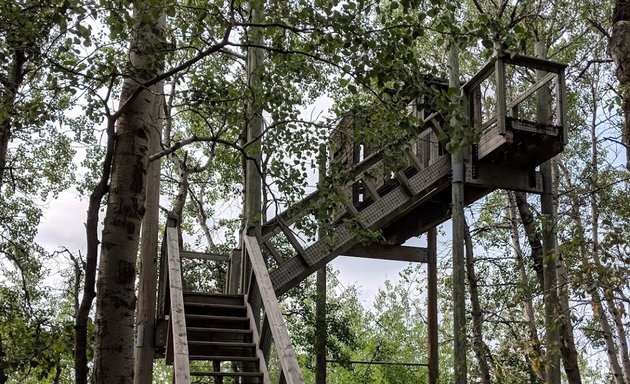 Photo of FortWhyte Alive Bison Lookout