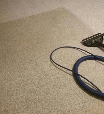 Photo of Lower Mainland Carpet Cleaning