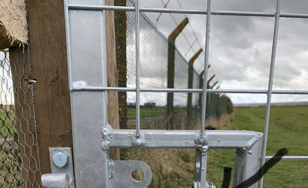 Photo of The Dog Space, Wrougton Airfield