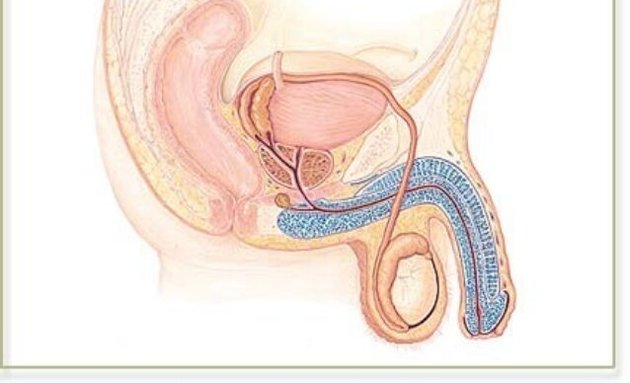 Photo of Liverpool Prostate Clinic