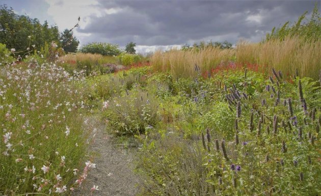 Photo of applied habitats