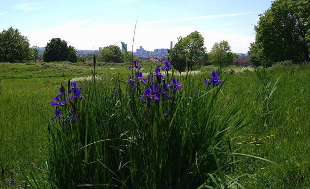 Photo of Whitehorse Meadow