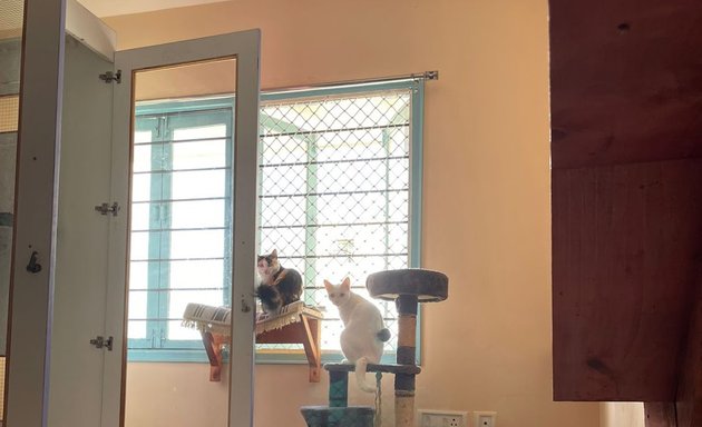 Photo of The Benzi Cattery - Home Cat Boarding in Hyderabad