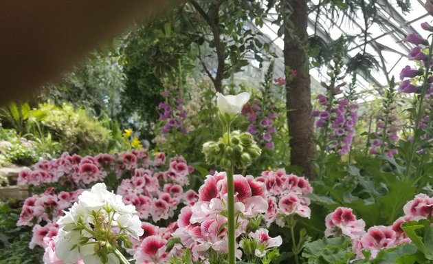 Photo of Allan Gardens Playground