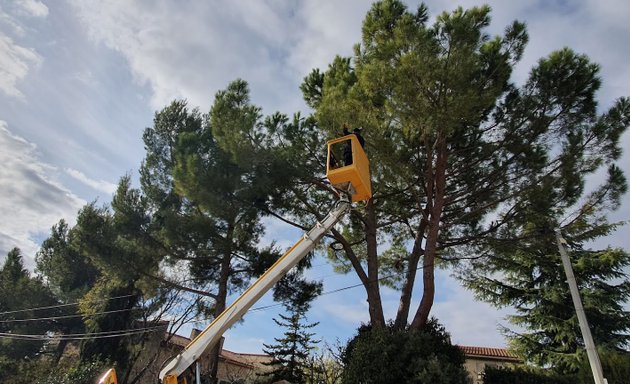 Photo de Élagueur marseille