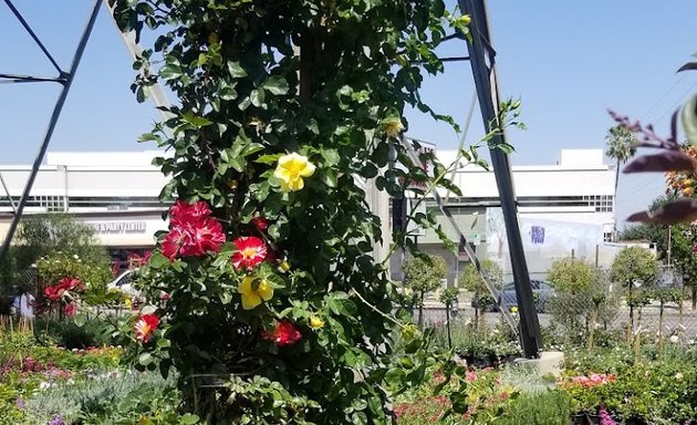 Photo of Ventura Nurseries