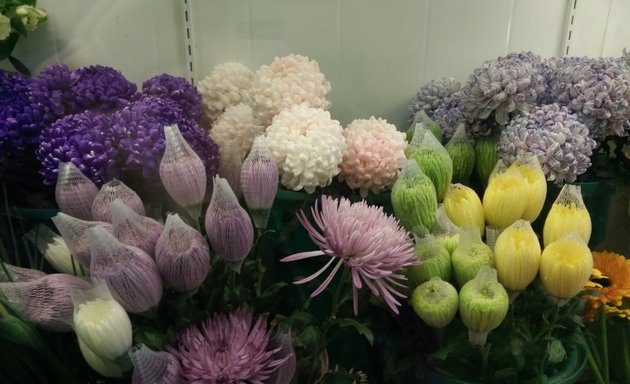 Photo of Toronto Florists
