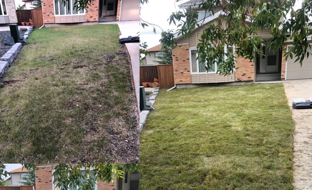 Photo of AAA Lawncare