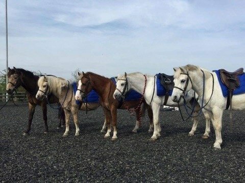 Photo of The York Riding School