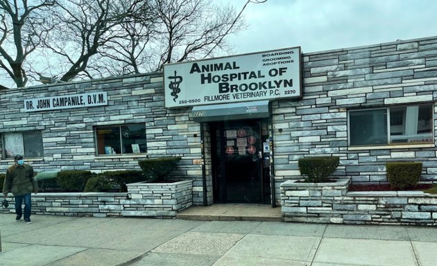 Photo of Animal Hospital of Brooklyn
