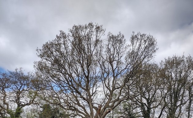 Photo of Ruislip Public Golf Course