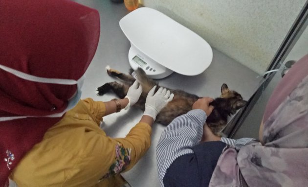 Photo of Klinik Veterinar Dan Kedai Haiwan Peliharaan Ecovet