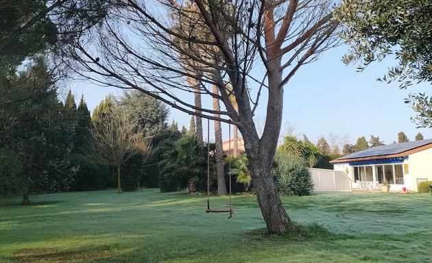 Photo de ÉLAGUEUR 66 - CHRISTOPHE ÉLAGAGE: Abattage d'Arbres Pose Clôture Taille Espaces-Verts PERPIGNAN 66 PYRÉNÉES-ORIENTALES