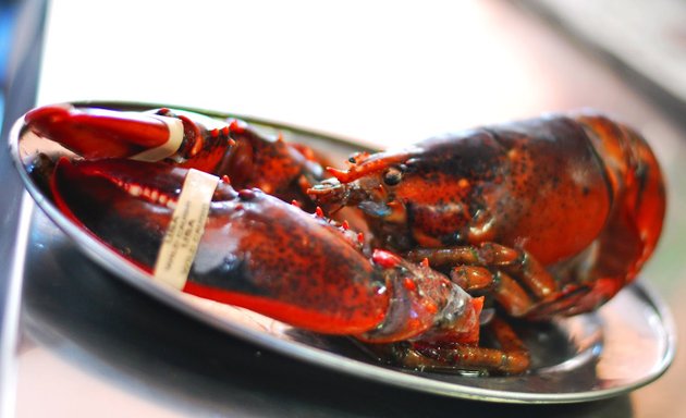 Foto de Restaurante los Mejillones