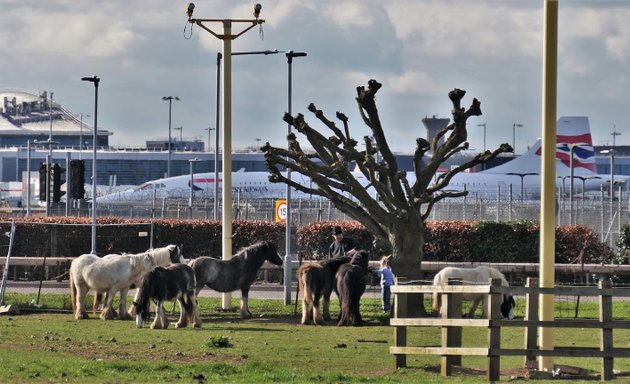 Photo of British Airways Concorde G-BOAB