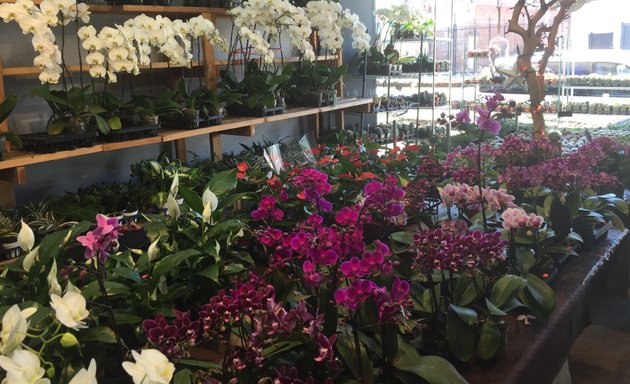 Photo of Secret Garden Wholesale