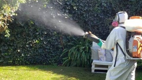 Foto de Grupo Fumicop - Fumigación, Desinfección y Desratización