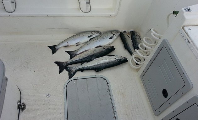 Photo of CCO Sportfishing