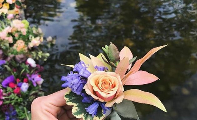 Photo of Glasswing Floral