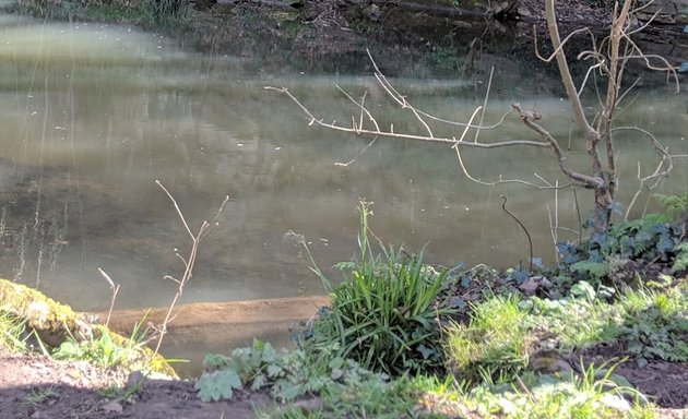 Photo of Black Rocks (Eastville Park)