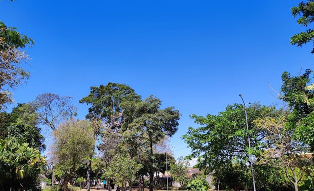 Foto de Parque de Los Gatos