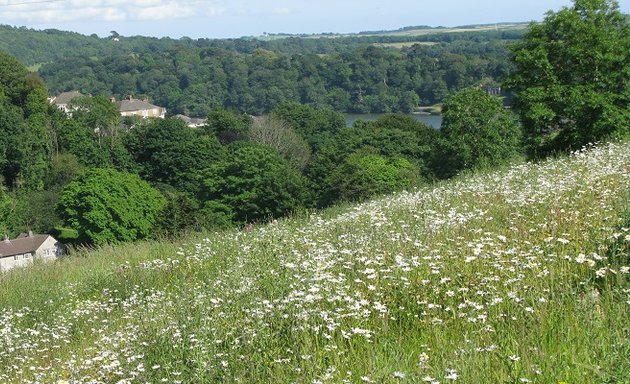 Photo of Efford Valley Nature Park