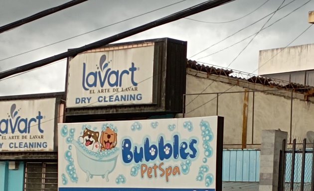 Foto de Bubbles Pet Spa