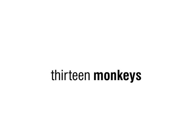 Photo of thirteen monkeys