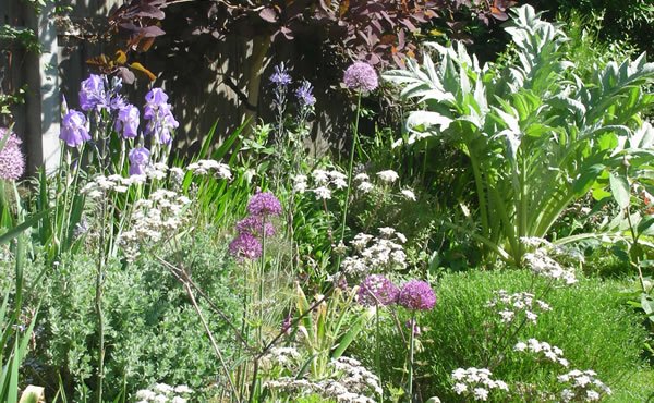 Photo of Liz Keyworth Garden Design