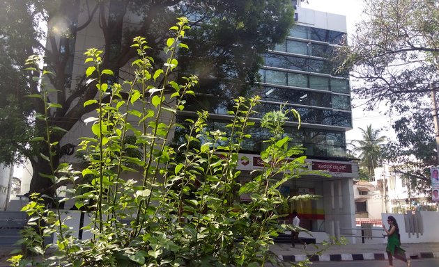 Photo of Saraswat Bank