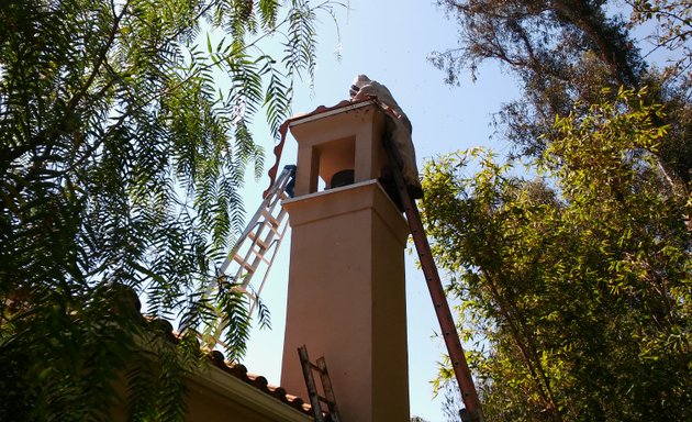 Photo of Hive Pro Bee Removal Inc.