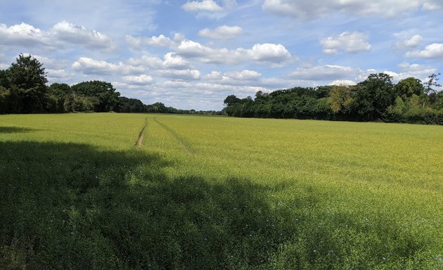 Photo of Brentford F.C. Training Ground