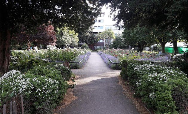 Photo of Kilburn Grange Park