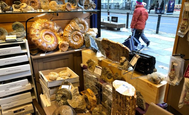 Photo of London Fossils and Crystals