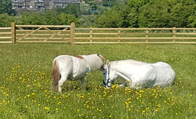 Photo of Chevin Fencing