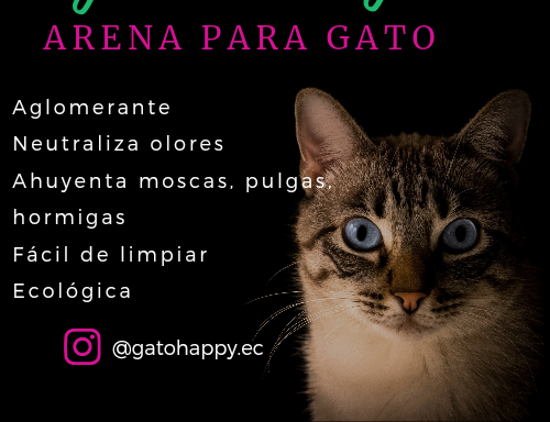 Foto de Gato Happy